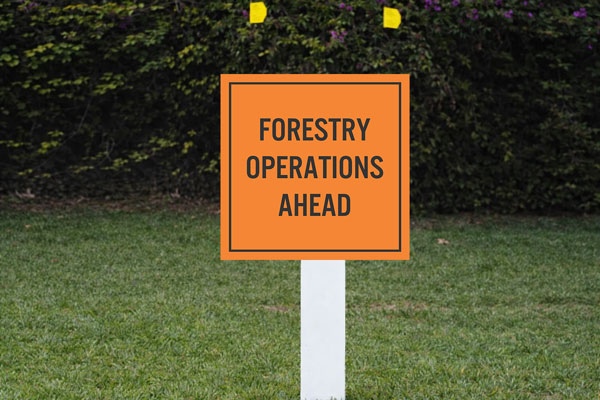 2x2 small auction lot signs for parcel marking and bidder navigation