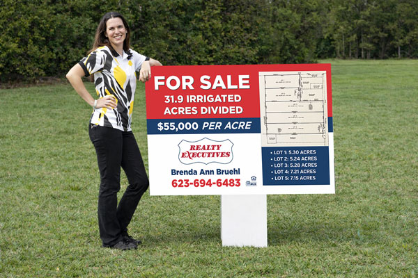32x48 Realty Executives yard sign for directional placement